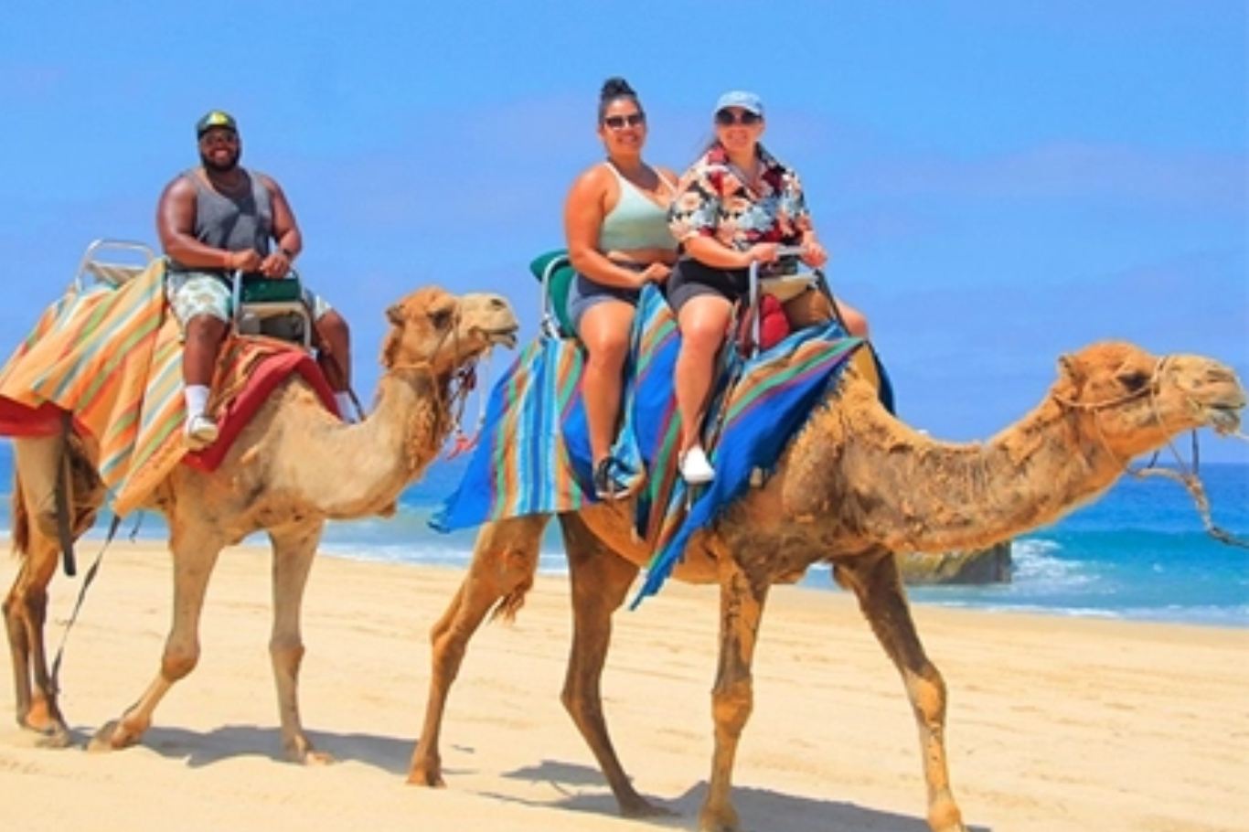 Camellos (parejas)